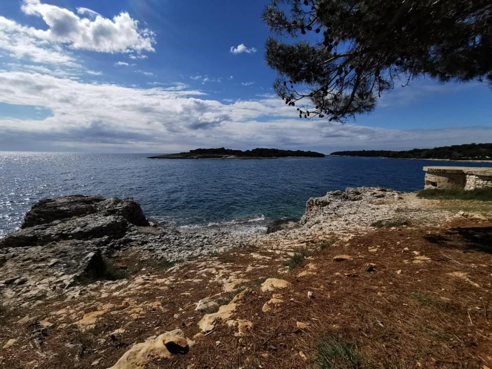 Black Pearl - Luxury Seaside App With Pool & Bbq, Istra Banjole Exterior photo