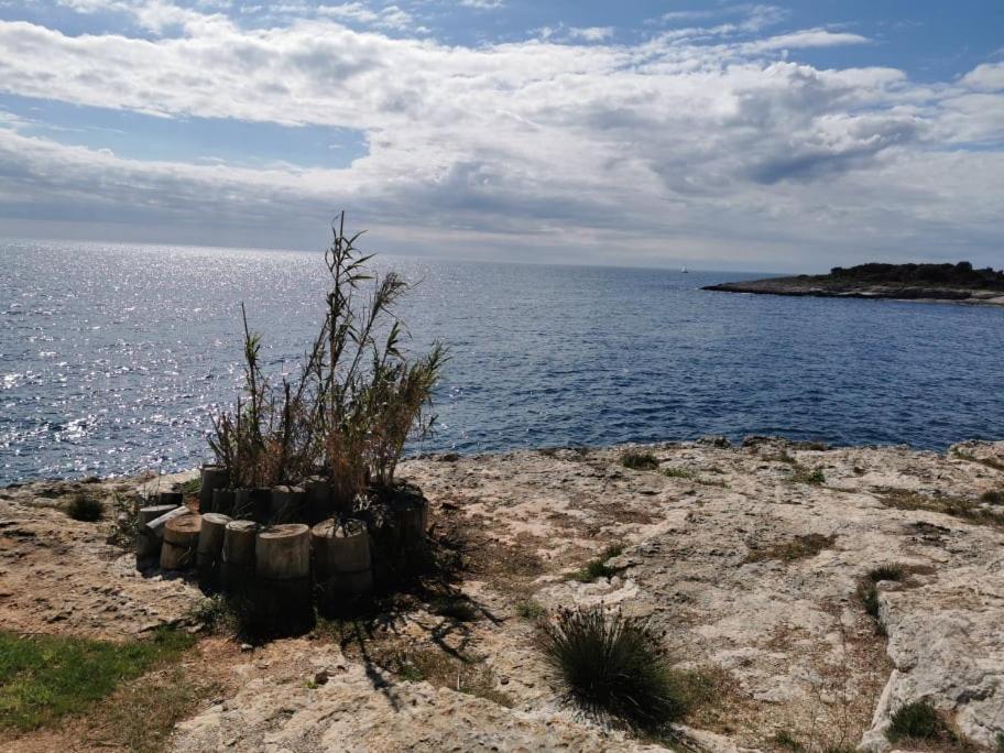 Black Pearl - Luxury Seaside App With Pool & Bbq, Istra Banjole Exterior photo